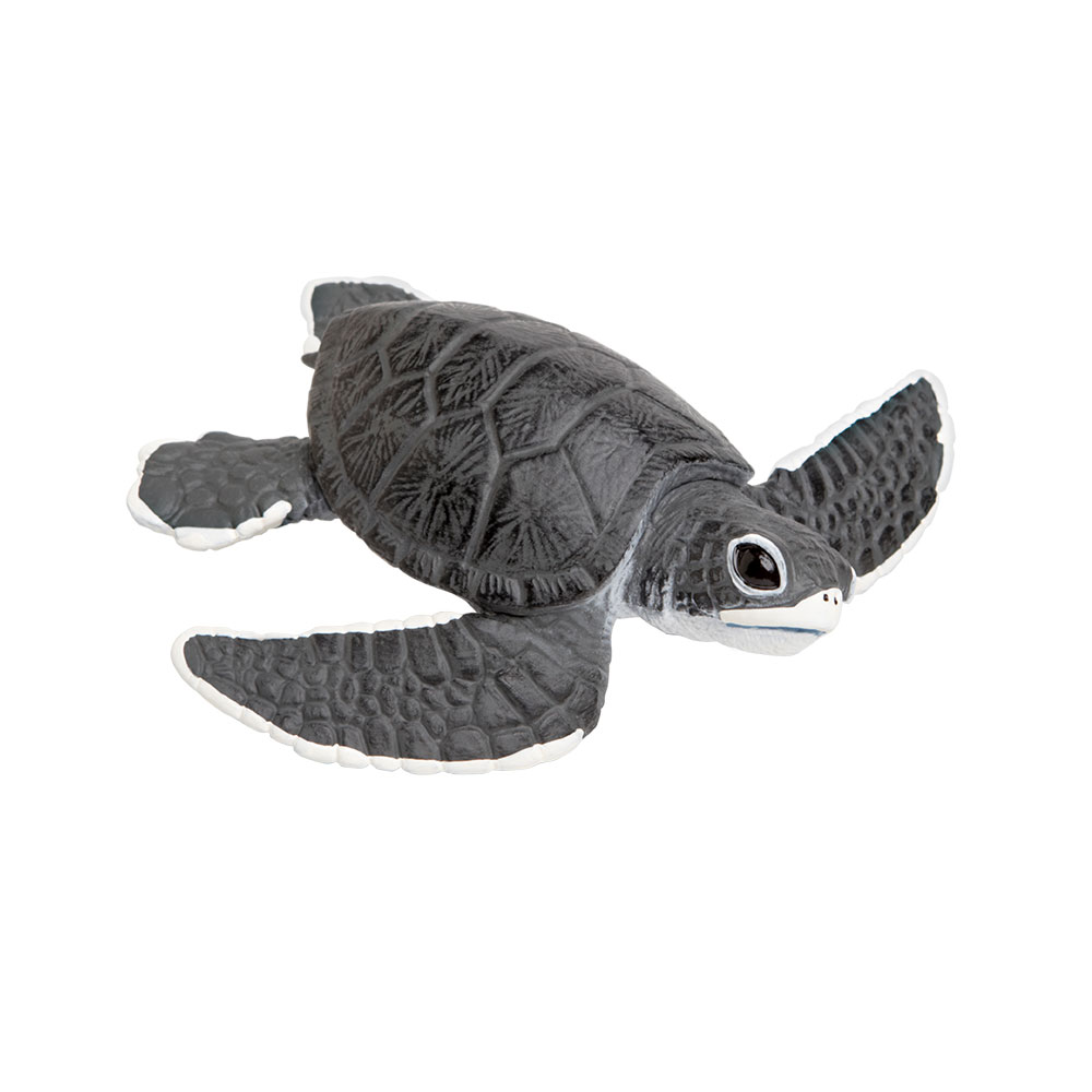 Фигурка Safari Ltd Морская черепаха (детеныш) schleich фигурка детеныш бегемота