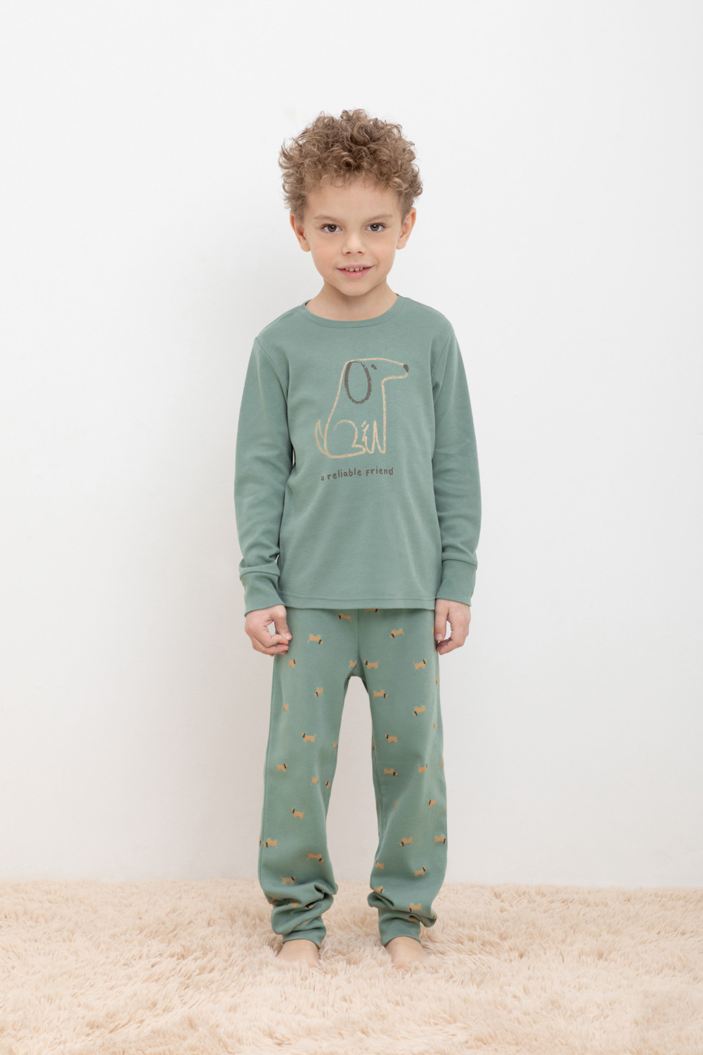

Пижама детская CROCKID К 1044, весенний зеленый, таксы, 110, К 1044