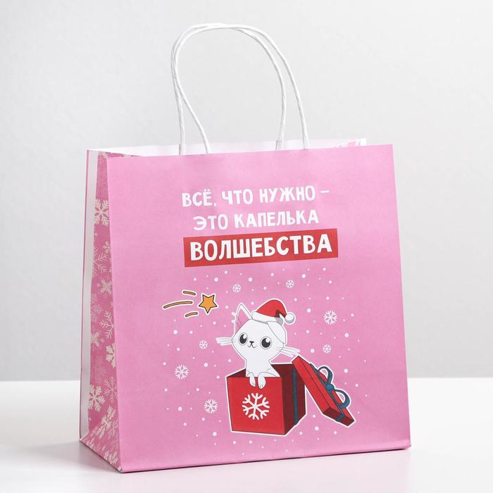 

Пакет подарочный Капелька волшебства, 22 х 22 х 11 см, Розовый