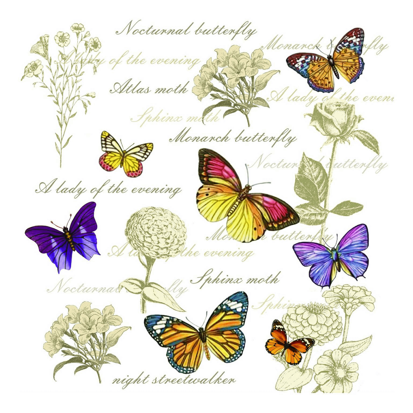 фото Бумажные салфетки гармония цвета бабочки сервировочные 24 x 24 см 50 шт