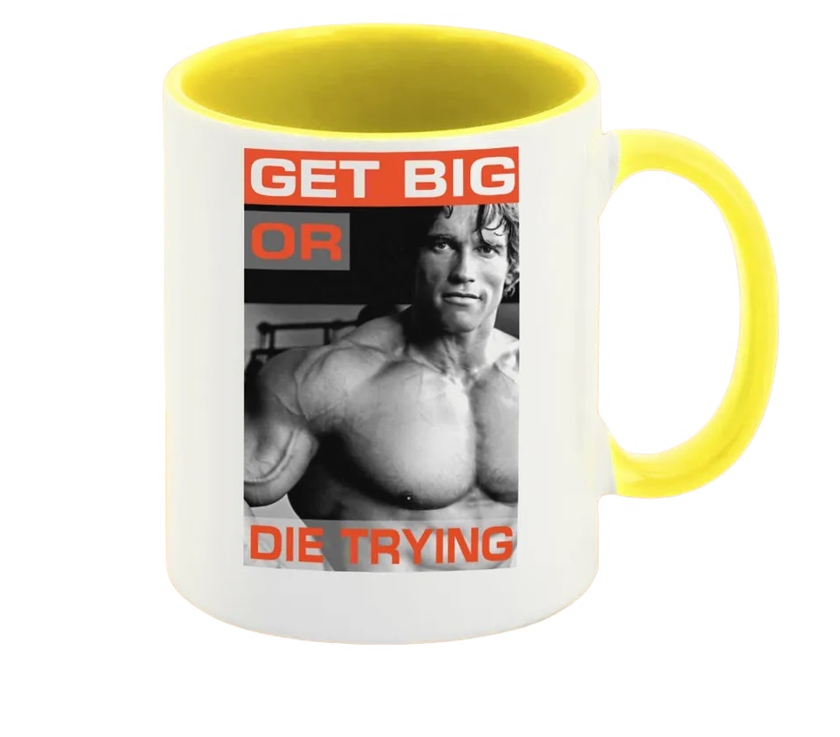 

Кружка CoolPodarok Get big or die trying