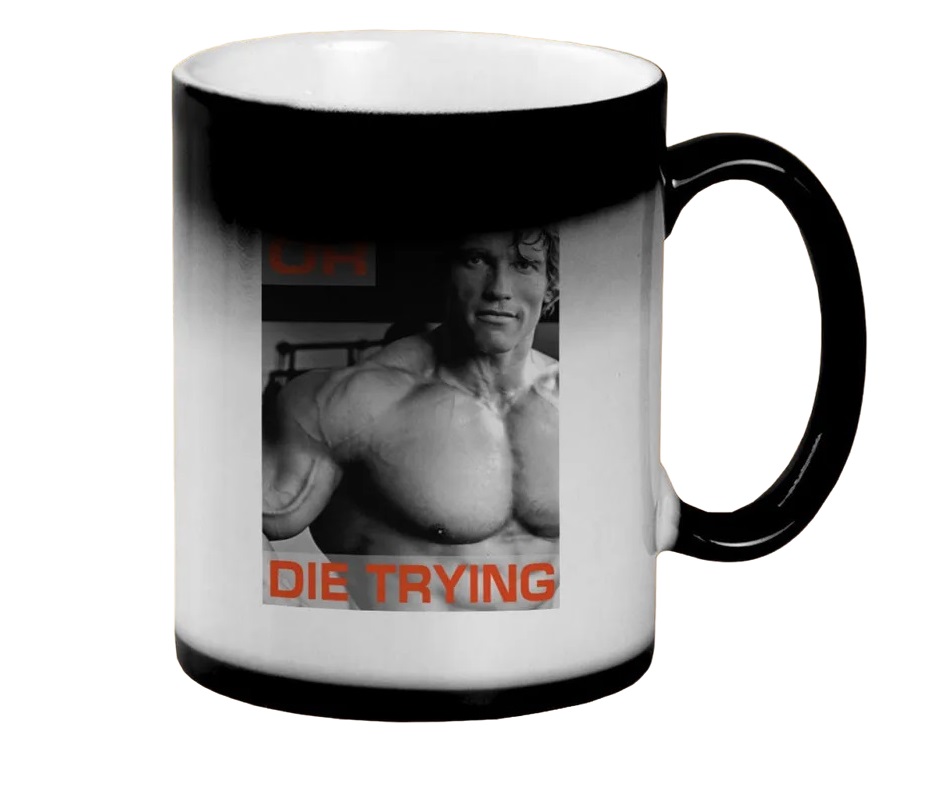 

Кружка CoolPodarok Get big or die trying