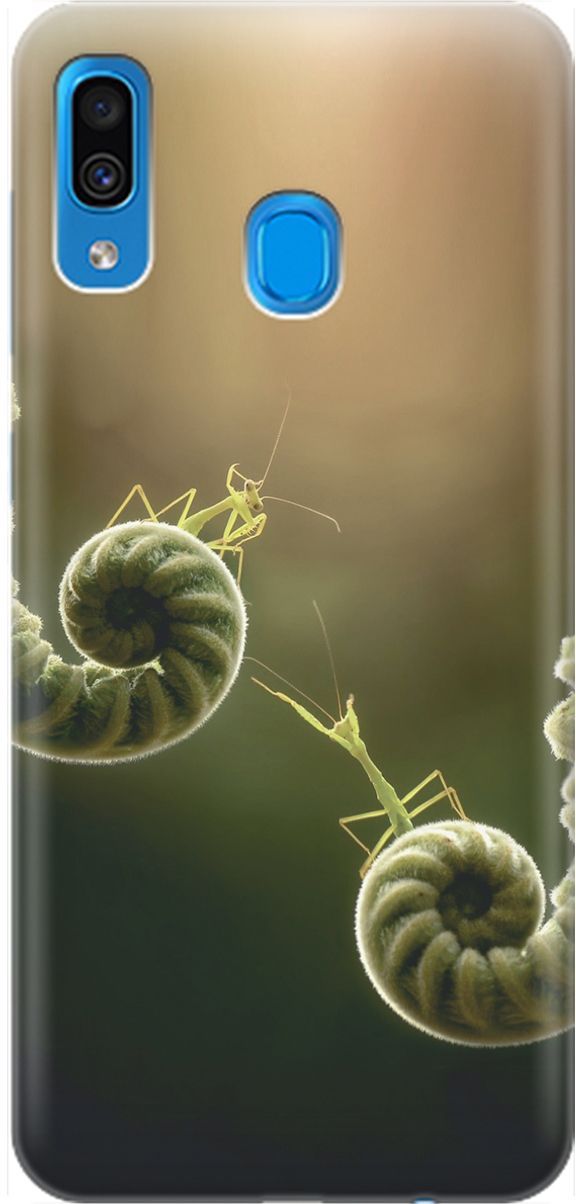 

Чехол на Samsung Galaxy A20/A30 с принтом "Пара богомолов", Бежевый;зеленый, 1531