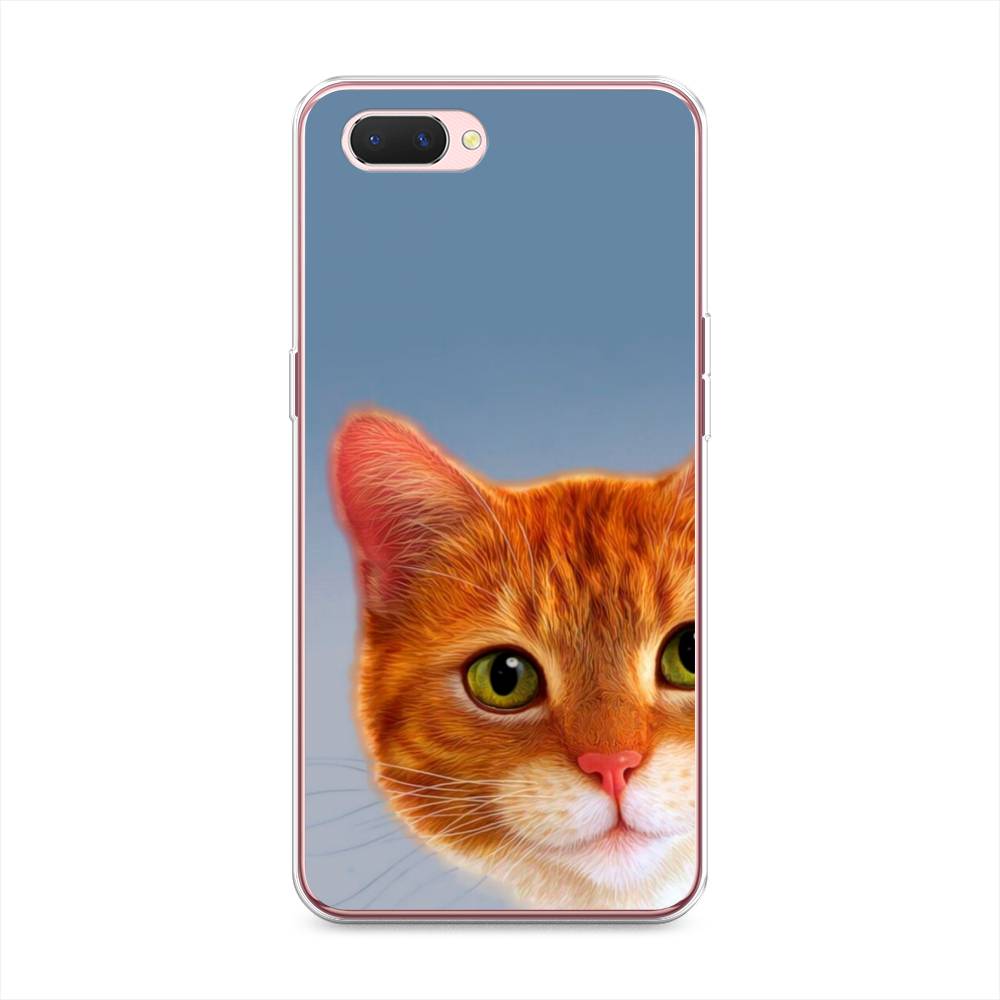 

Чехол на Oppo A3s "Любопытный котик", Коричневый, 252050-1