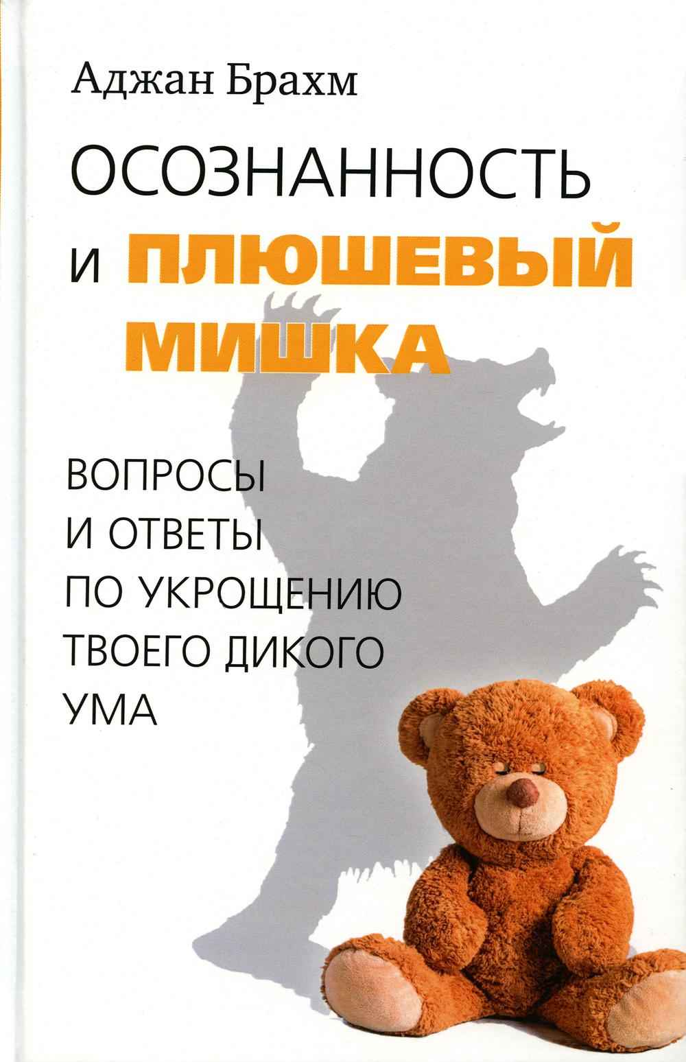 

Осознанность и плюшевый мишка. Вопросы и ответы по укрощению твоего дикого ума