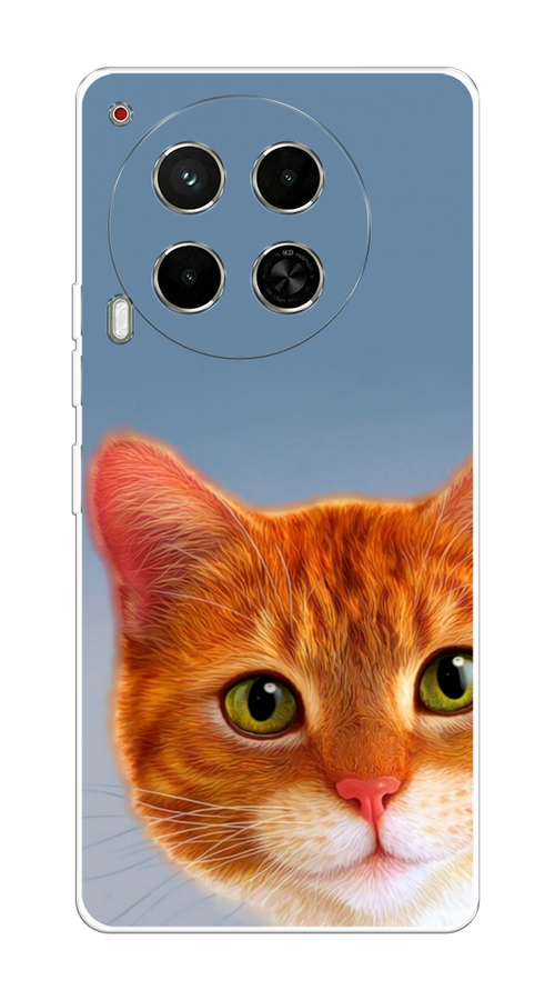 

Чехол на Tecno Camon 30 5G "Любопытный котик", Коричневый, 305550-1