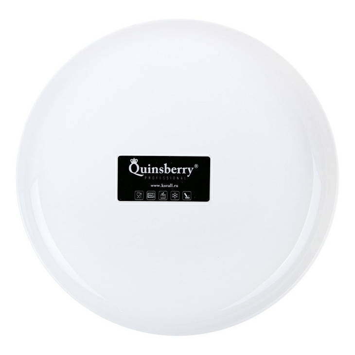 Тарелка десертная Quinsberry Moon Professional 21 см белая