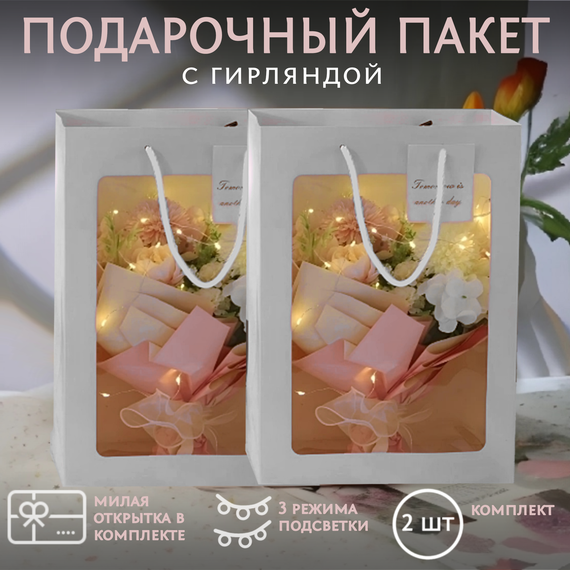 

Подарочный пакет с гирляндой 011-2, 35х25х15 см, 2 шт