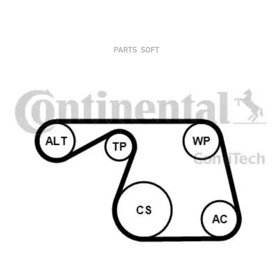 CONTITECH Комплект поликлинового ремня CONTITECH 6PK1310K1