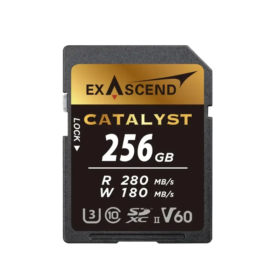 

Карта памяти Exascend SDXC 256Гб Catalyst UHS-II SD V60 256GB (EX256GSDV60), Catalyst UHS-II SD V60 256GB