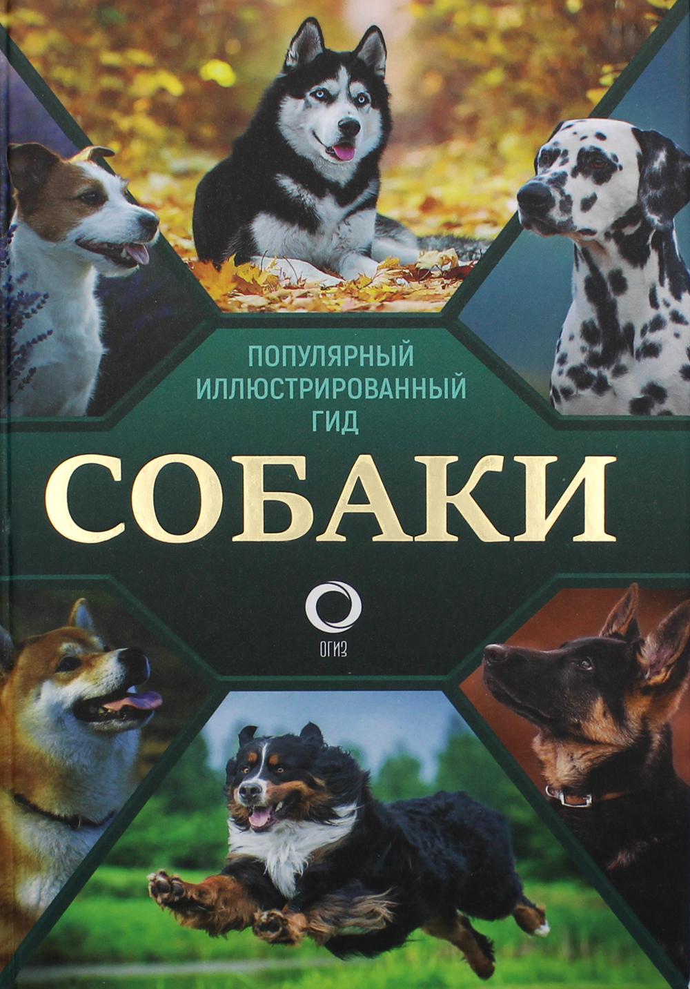 фото Книга собаки аст