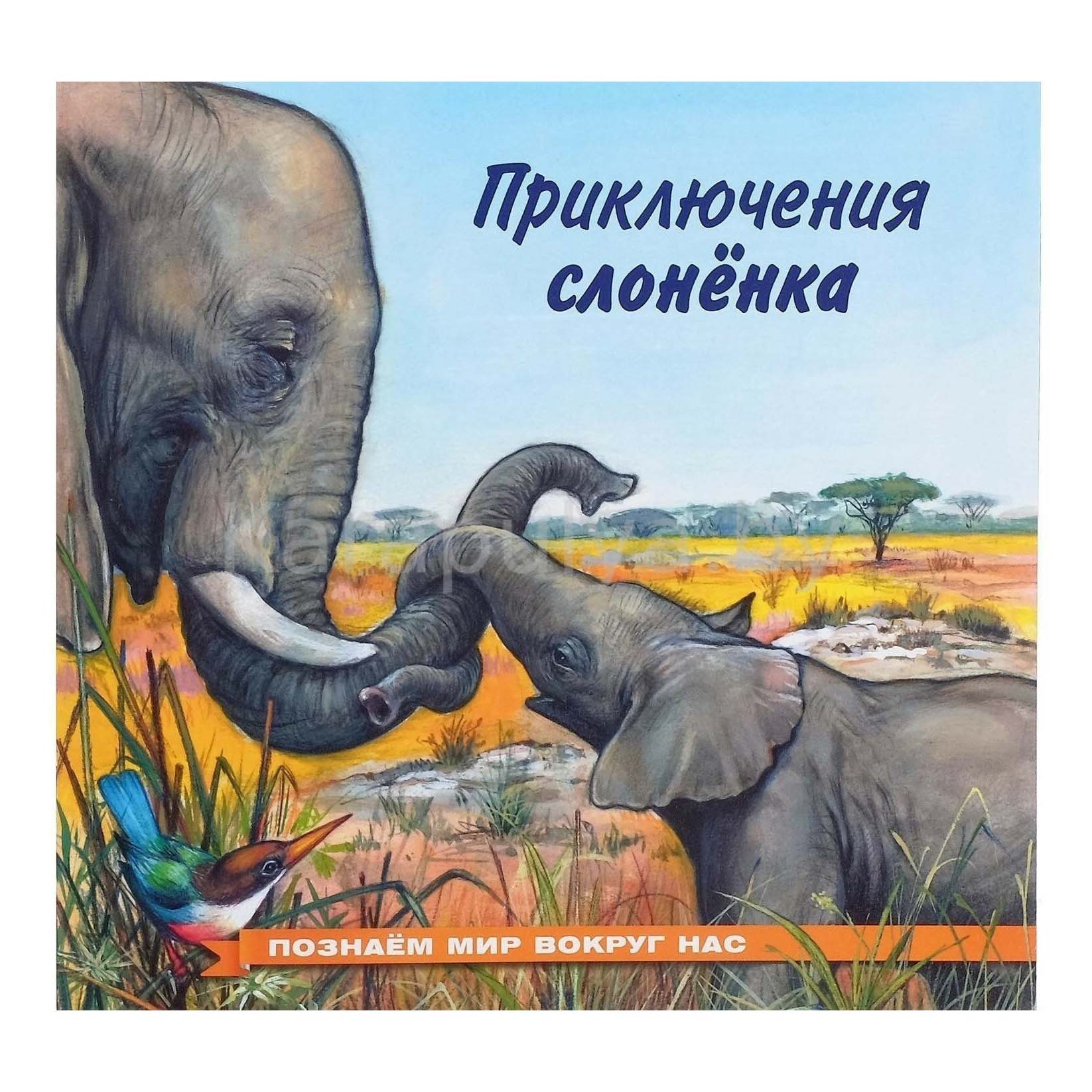 

Приключения слоненка Гурина И. В.