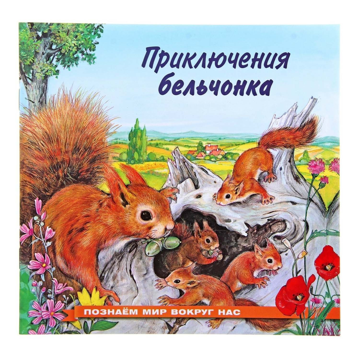 

Приключения бельчонка Гурина И. В.