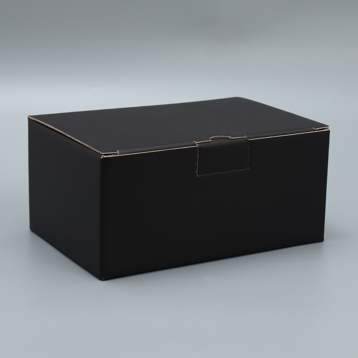 

Коробкапенал Дарите Счастье, Черный, 22x15x10 см