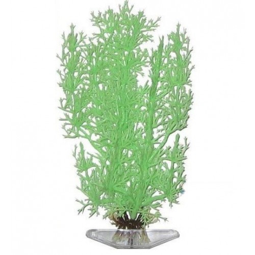 Растение PENN-PLAX STONEWORT-NITELLA 27см зеленое светящееся P14LGL