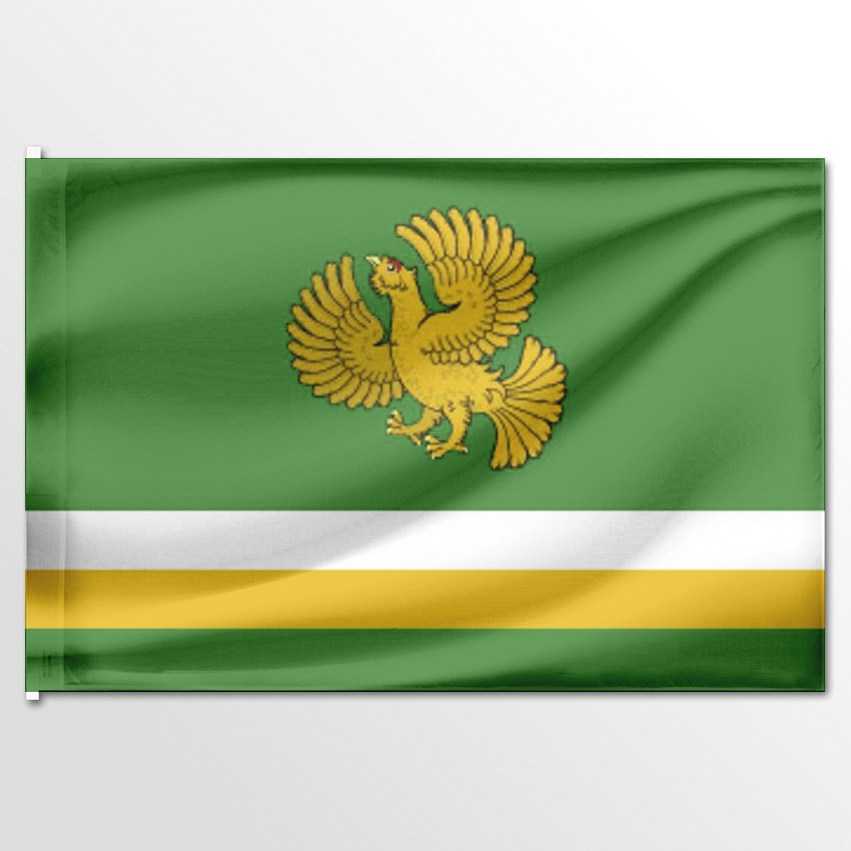 

Флаг ЦТП ФЕНИКС Нижнетавдинского района 135x90 см, 2720-135x90
