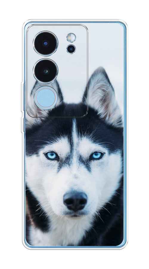 

Чехол на Vivo V29 "Хаски 2", Синий;белый, 269350-1
