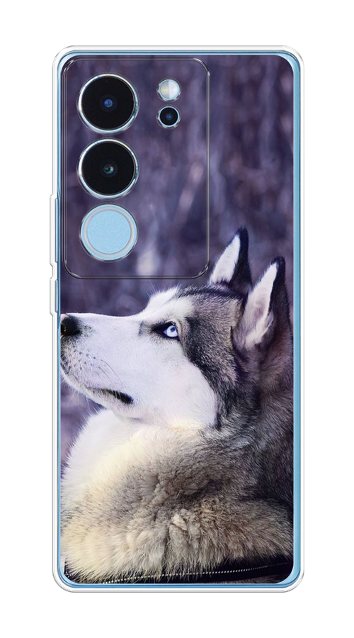 

Чехол на Vivo V29 "Хаски 1", Фиолетовый;белый, 269350-1