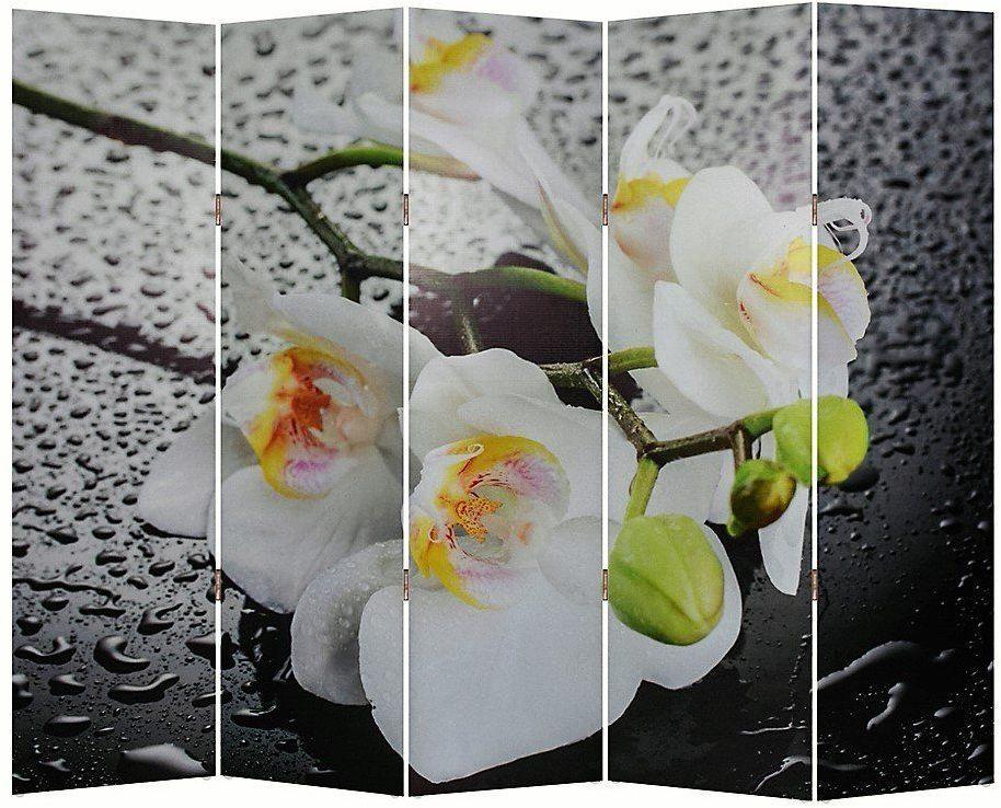 Ширма RB 1111-5 Белая орхидея и капли 5 панелей Белая орхидея и капли