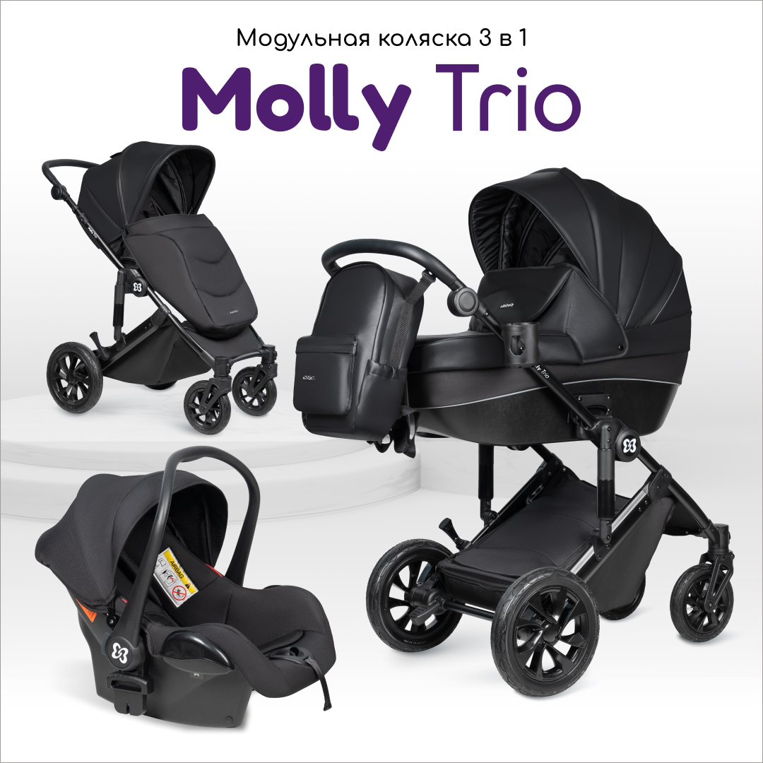 Коляска детская 3в1 Farfello модульная для новорожденных Molly Trio Черный 49170₽