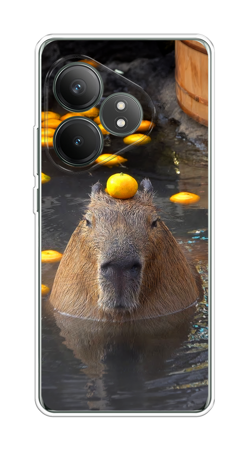 

Чехол на Realme GT Neo 6 SE "Капибара отдыхает", Коричневый;оранжевый;серый, 2516850-1