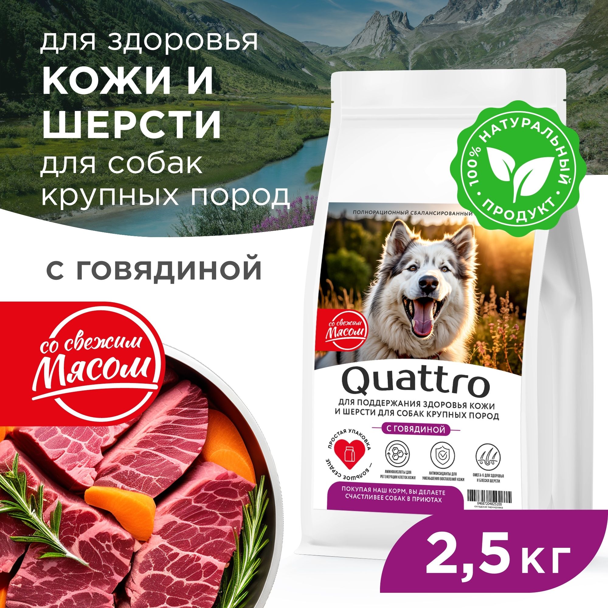 Сухой корм для собак QUATTRO, Крупные породы премиум, для кожи и шерсти, говядина, 2,5 кг