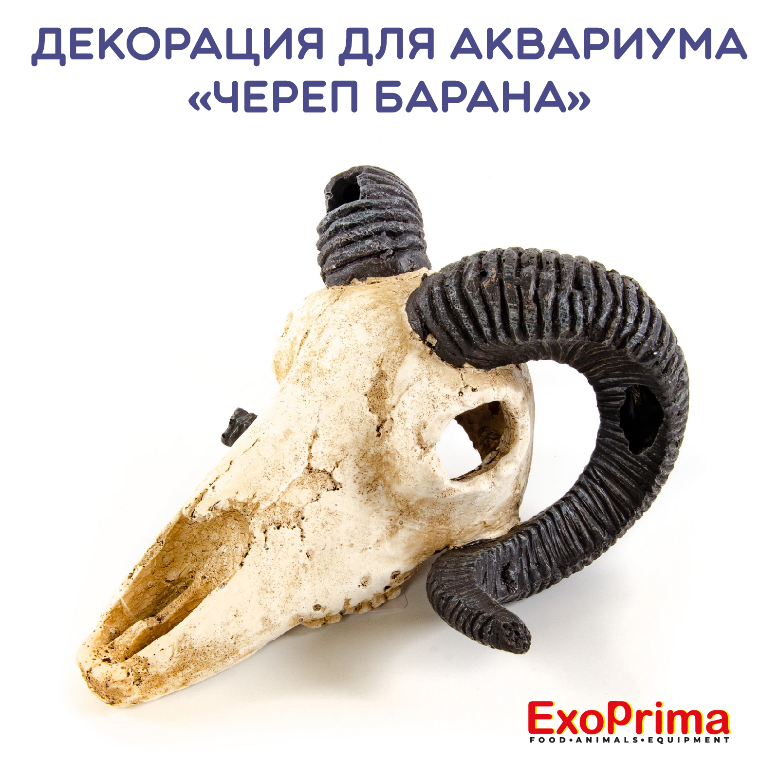 Декорация для аквариума EXOPRIMA Череп барана, 19.5х17х12см