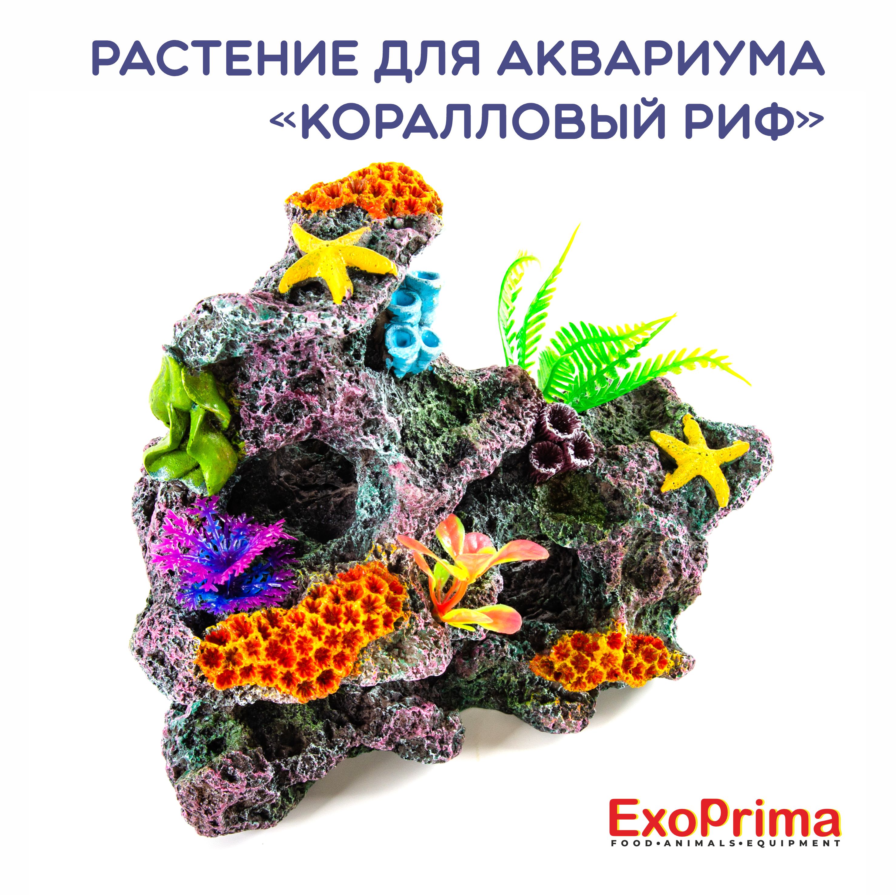 Декорация для аквариума EXOPRIMA Коралловый риф, 17.5х11.5х15.5см