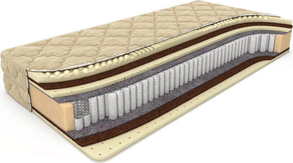 

Анатомический матрас Dreamline Massage 30247 80х200 см, Белый, Dream Massage S1000