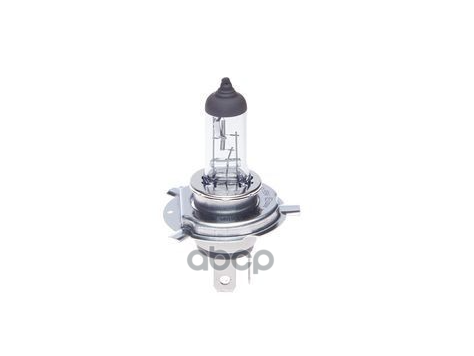 Галогенная лампа Bosch Pure Light 12V 60/55W H19