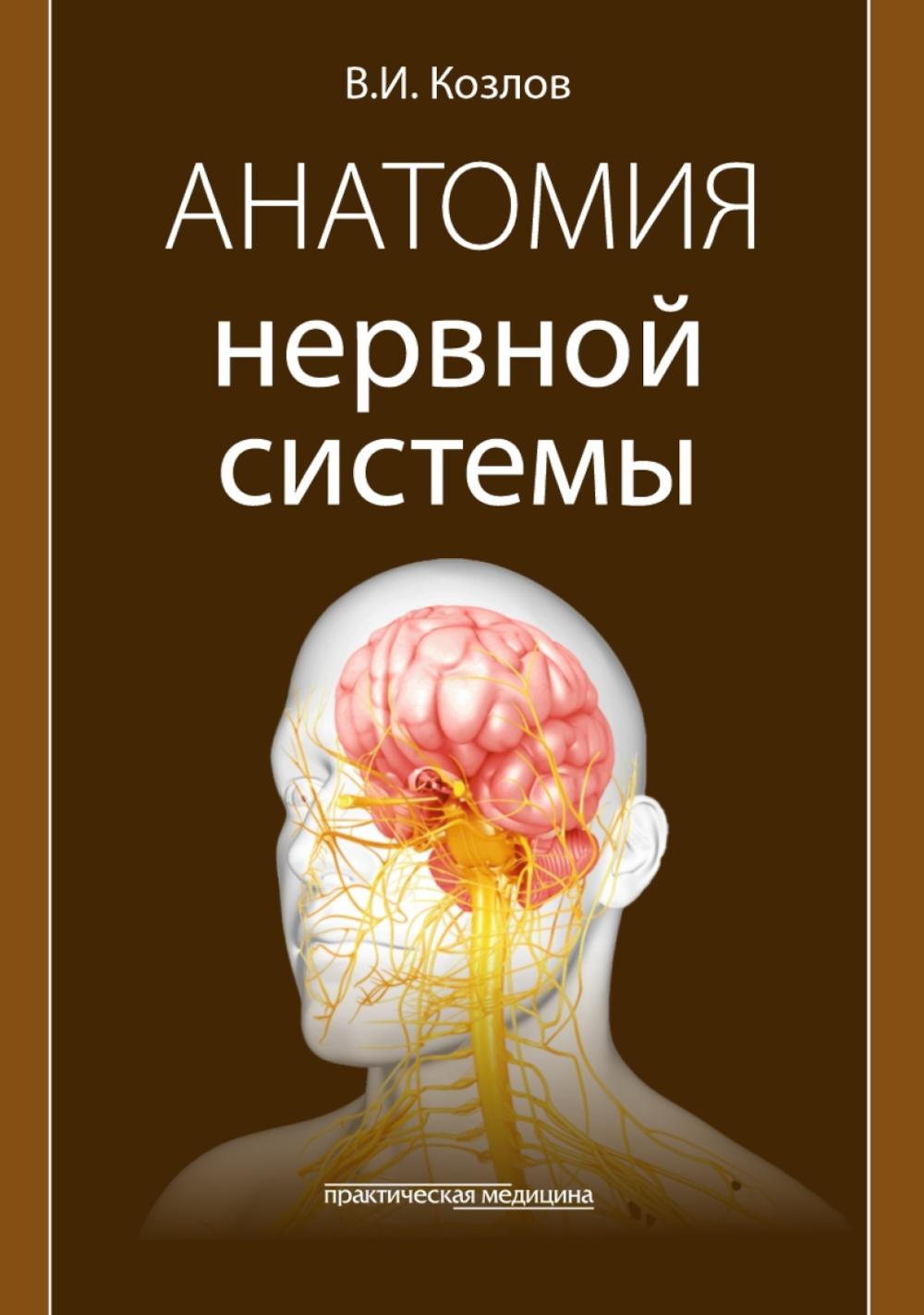 

Анатомия нервной системы