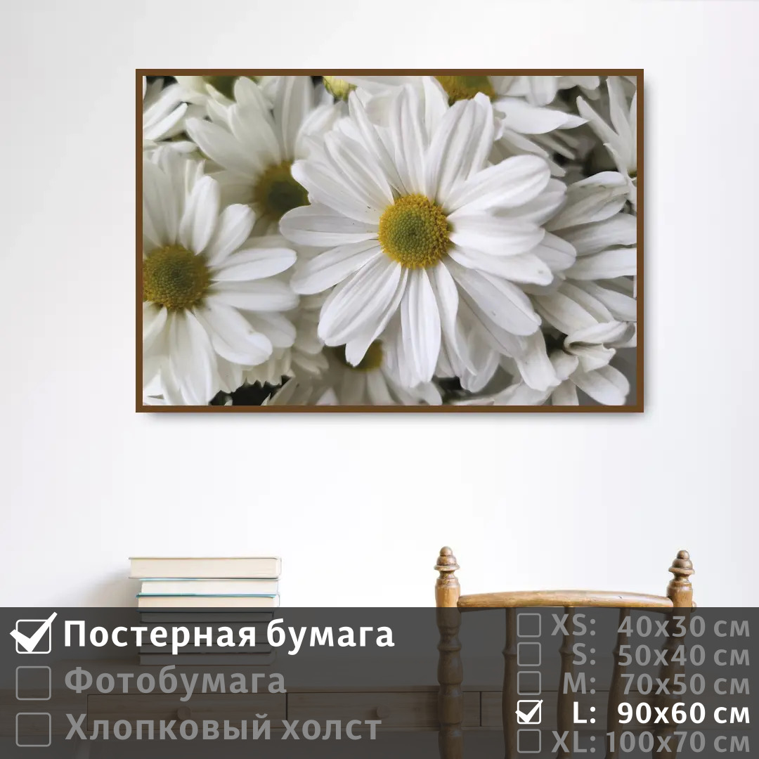 

Постер на стену ПолиЦентр Белоснежные ромашки 90х60 см, БелоснежныеРомашки