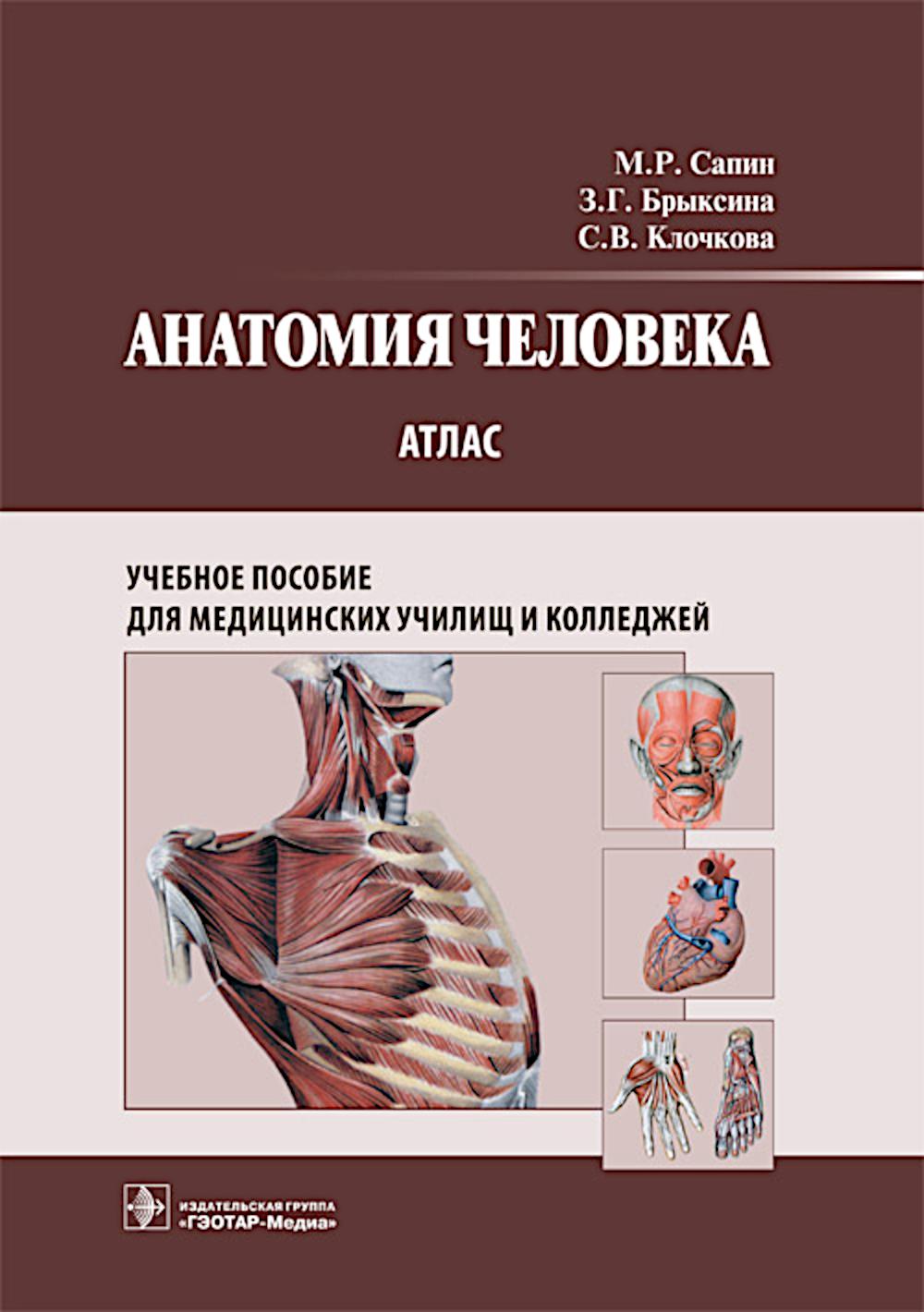 

Анатомия человека: атлас