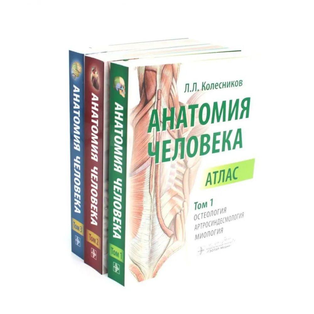 

Анатомия человека в 3 томах 1 том