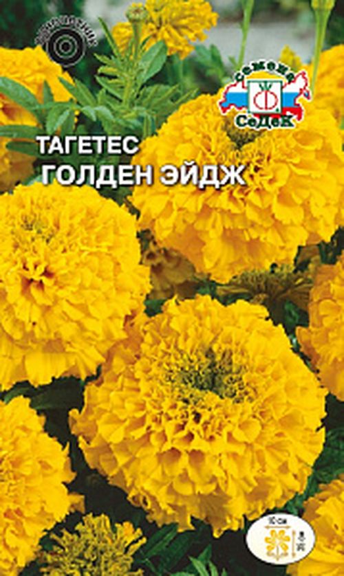 

Семена бархатцы Голден Эйдж СеДеК 1654 1 уп.