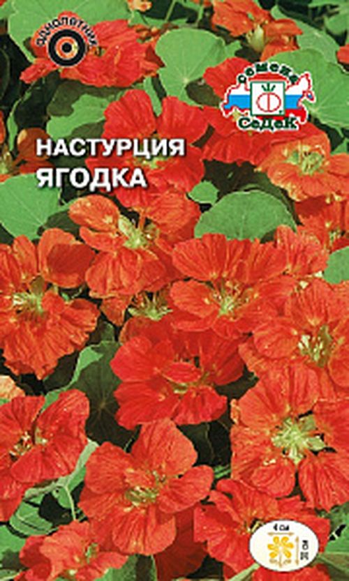 

Семена настурция Ягодка СеДеК 1586 1 уп.