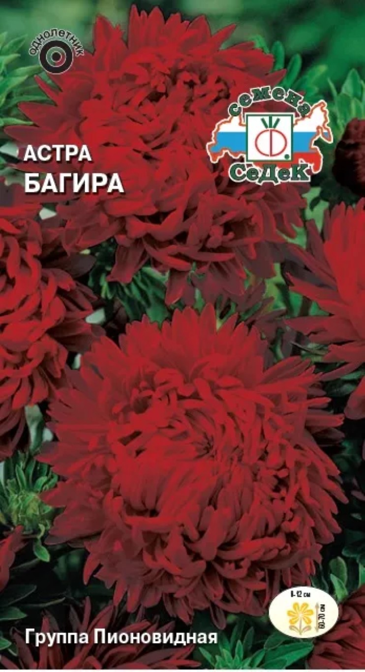

Семена астра Багира СеДеК 1573 1 уп.