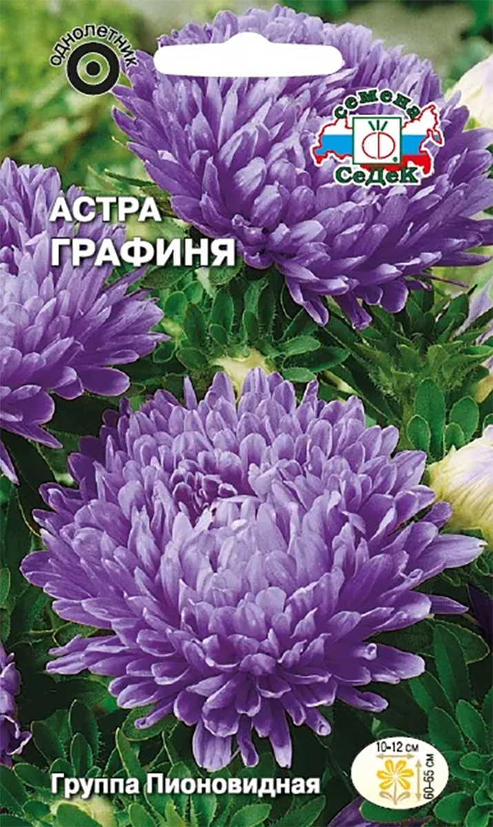 

Семена астра Графиня СеДеК 1497 1 уп.