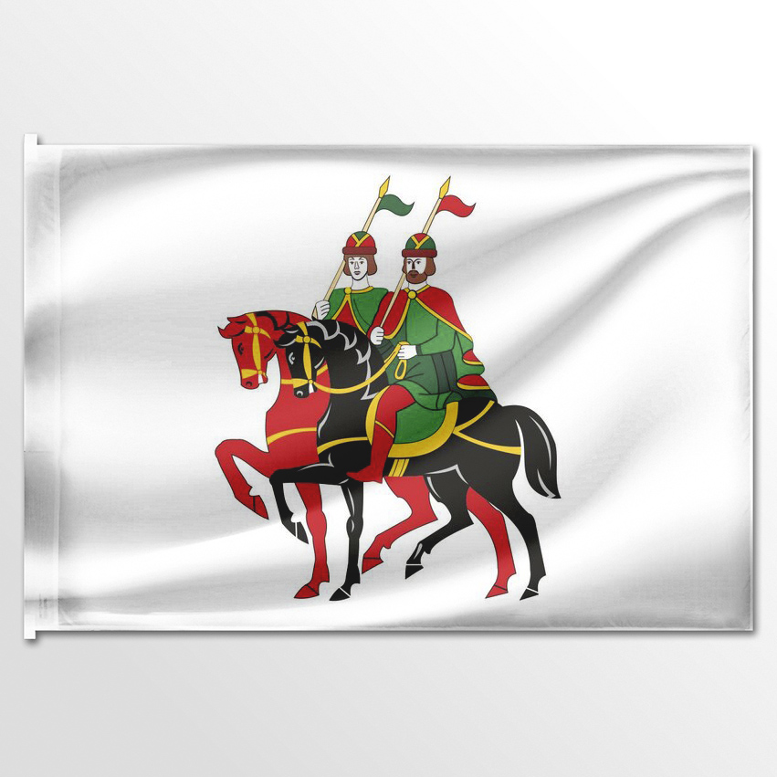 

Флаг ЦТП ФЕНИКС Борисоглебского района 135x90 см, 2829-135x90