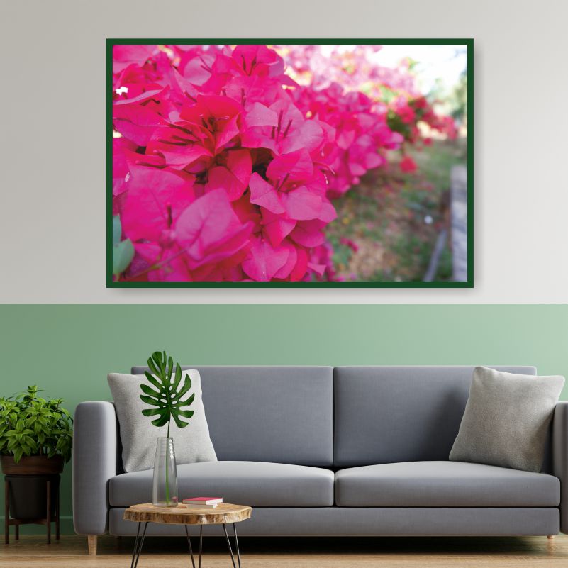 

Постер на стену ПолиЦентр Розовые Цветы Бугенвиллии 40х30 см, РозовыеЦветыБугенвиллии