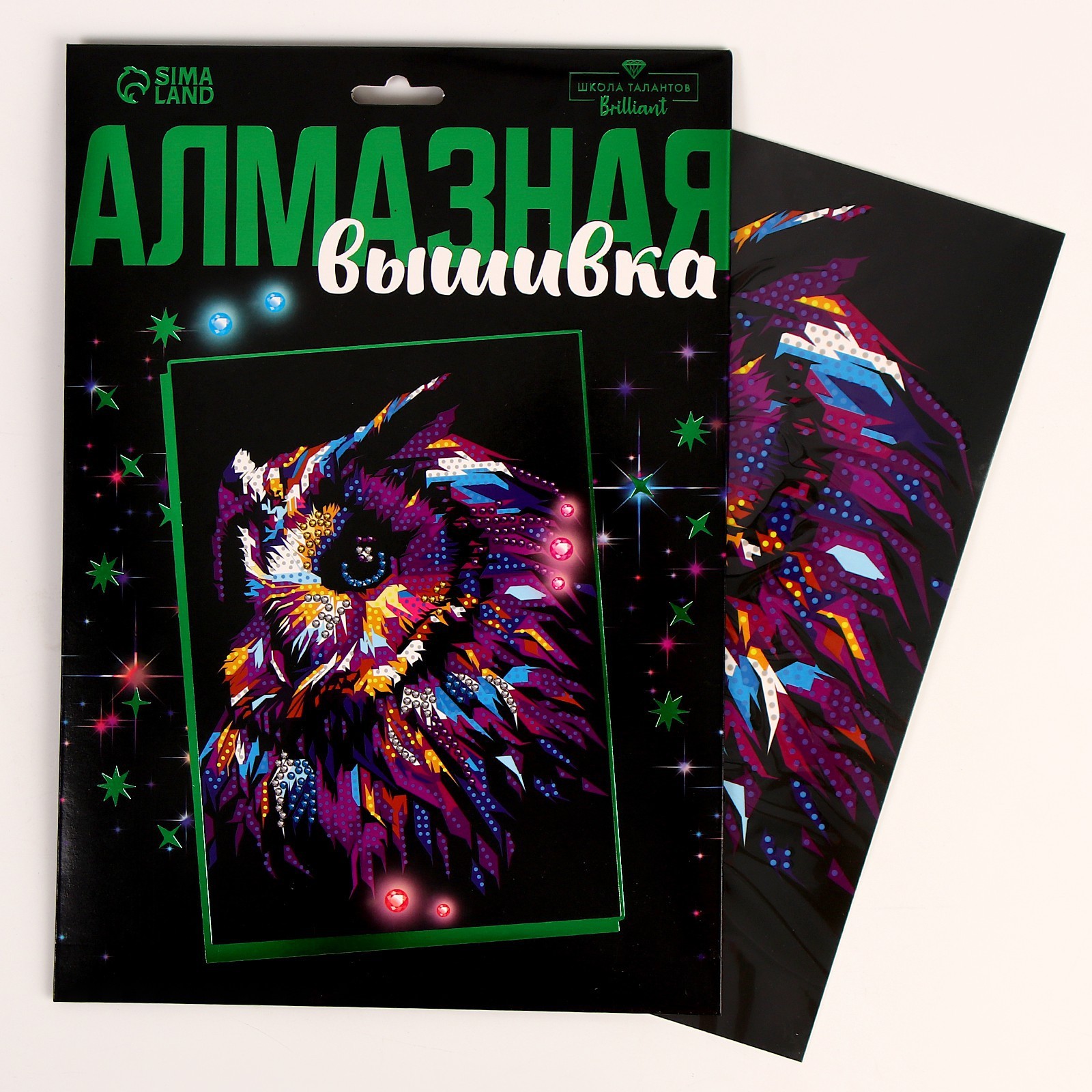 

Алмазная мозаика Школа талантов Сова, 21х30 см, Сова