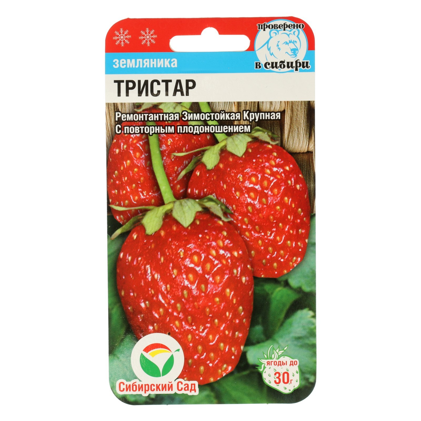

Семена клубника Сибирский сад 2746651