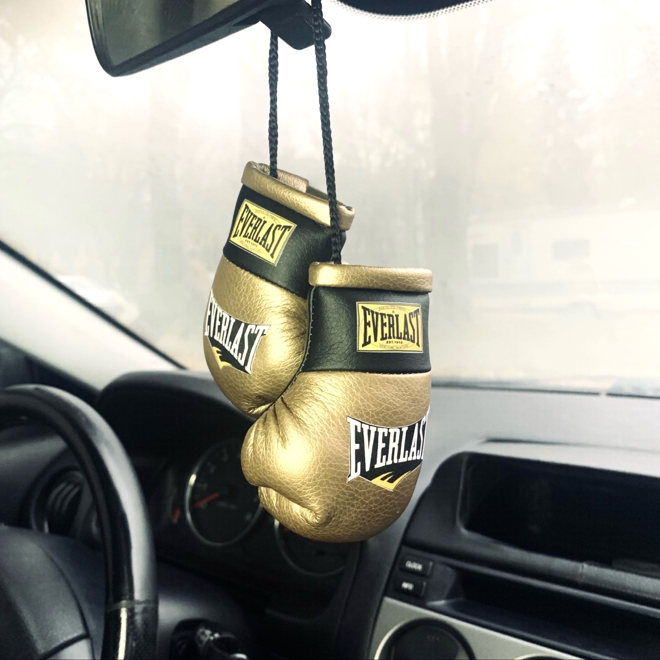 

Брелок автомобильный Перчатки боксерские с логотипом Everlast, золотые, Перчатки