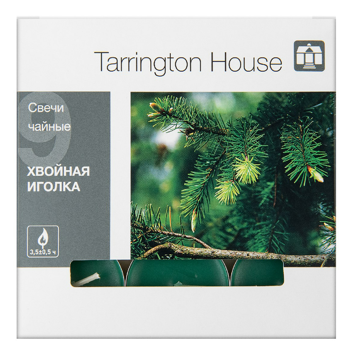 

Набор свечей ароматических Tarrington House Хвойная иголка 9 шт