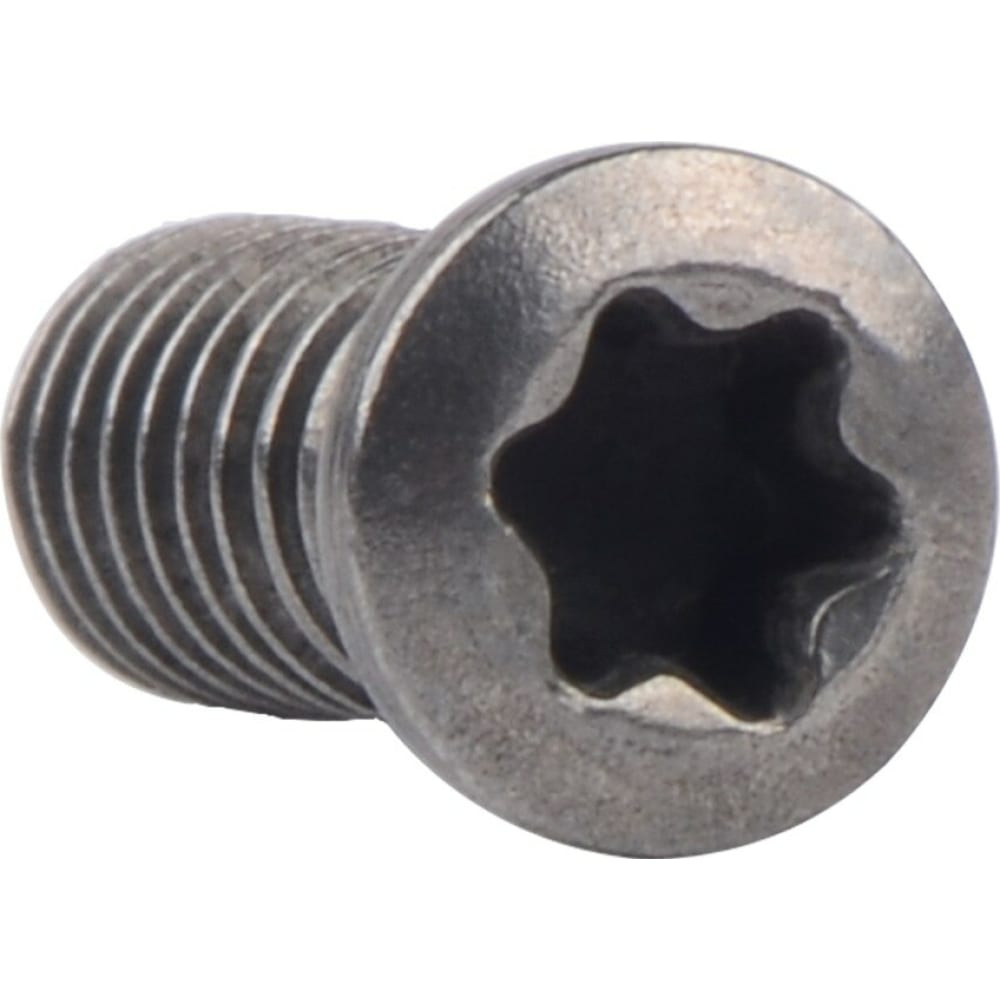 

VORGEN TORX VRT03 M2,5x5 Винт 4687202511822