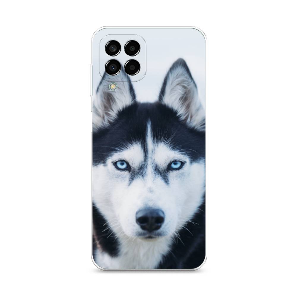 

Чехол на Samsung Galaxy M33 "Хаски 2", Синий;белый, 2105650-1