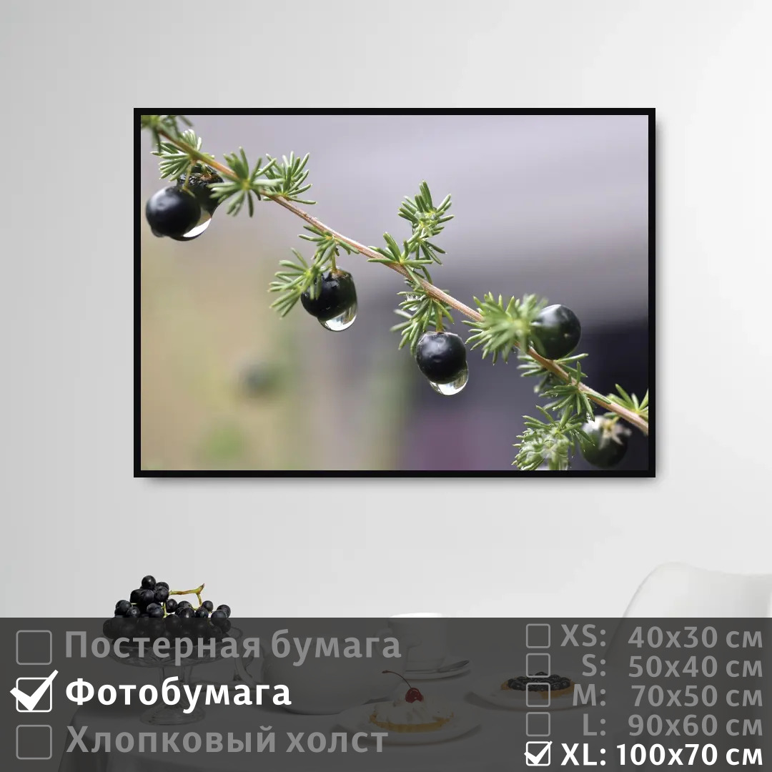 

Постер на фотобумаге ПолиЦентр Ветка с ягодой после дождя 100х70 см, ВеткаСЯгодойПослеДождя1