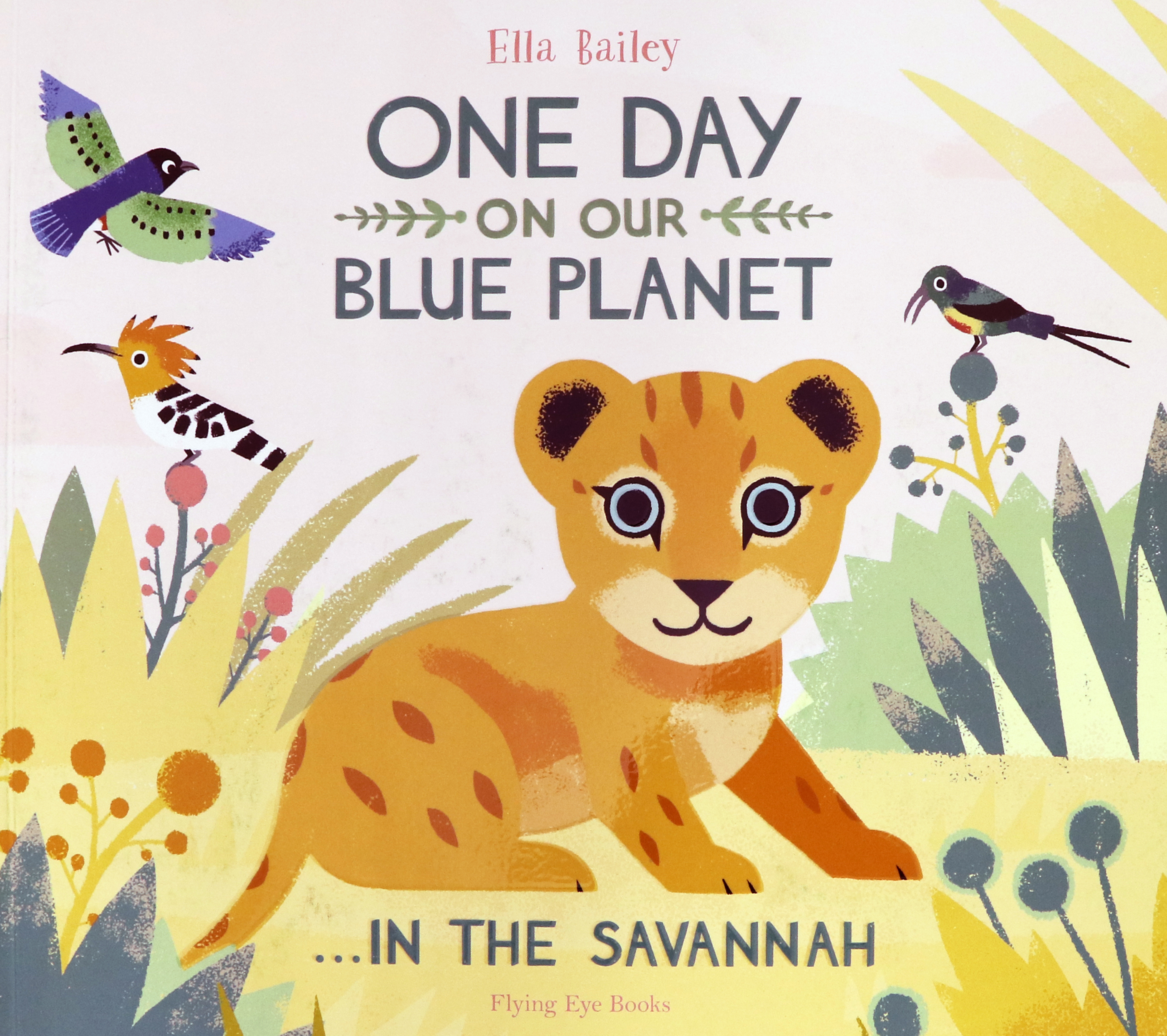 

One Day on Our Blue Planet: In the Savannah