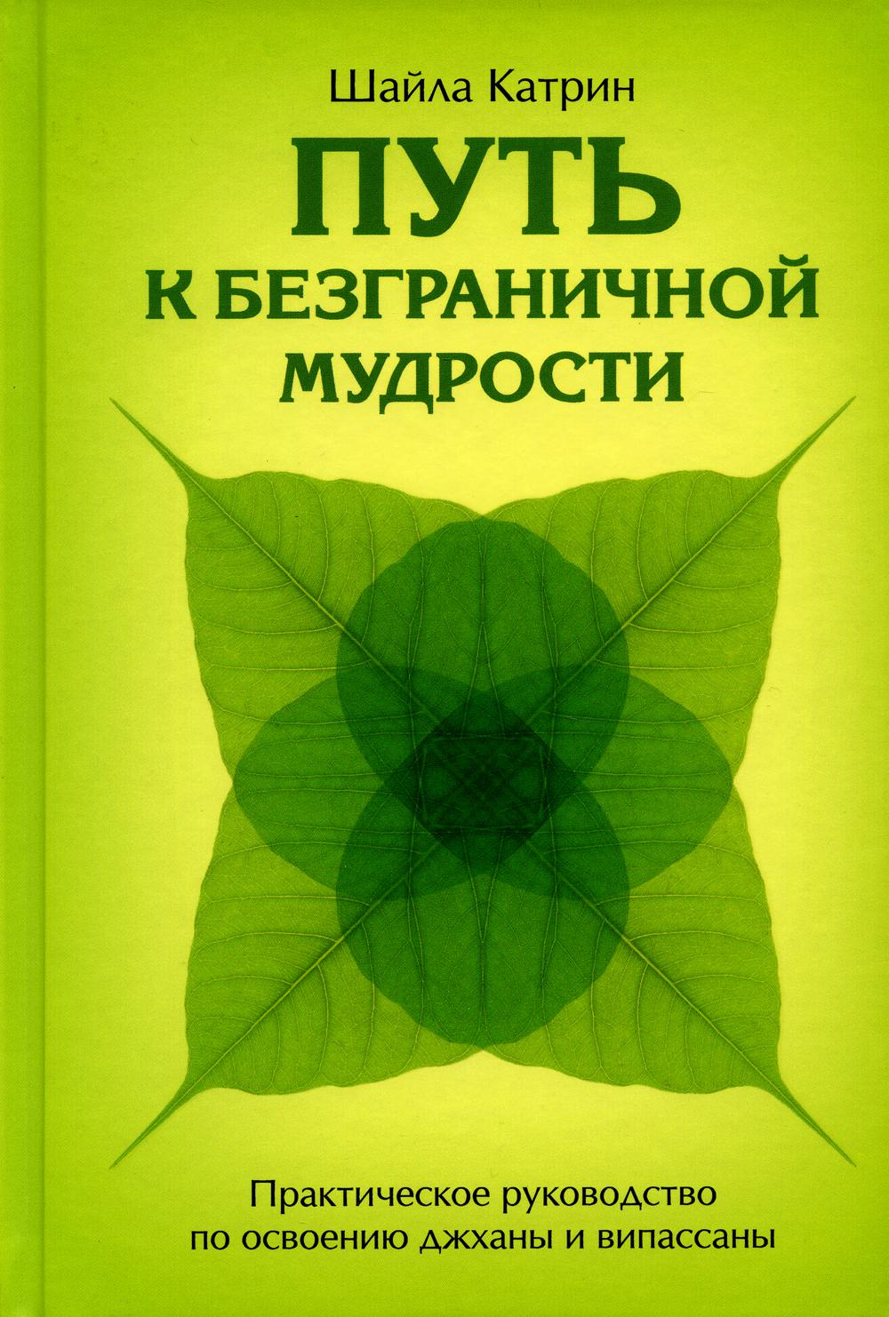 

Путь к безграничной мудрости. Практическое руководство по освоению джханы и випас...