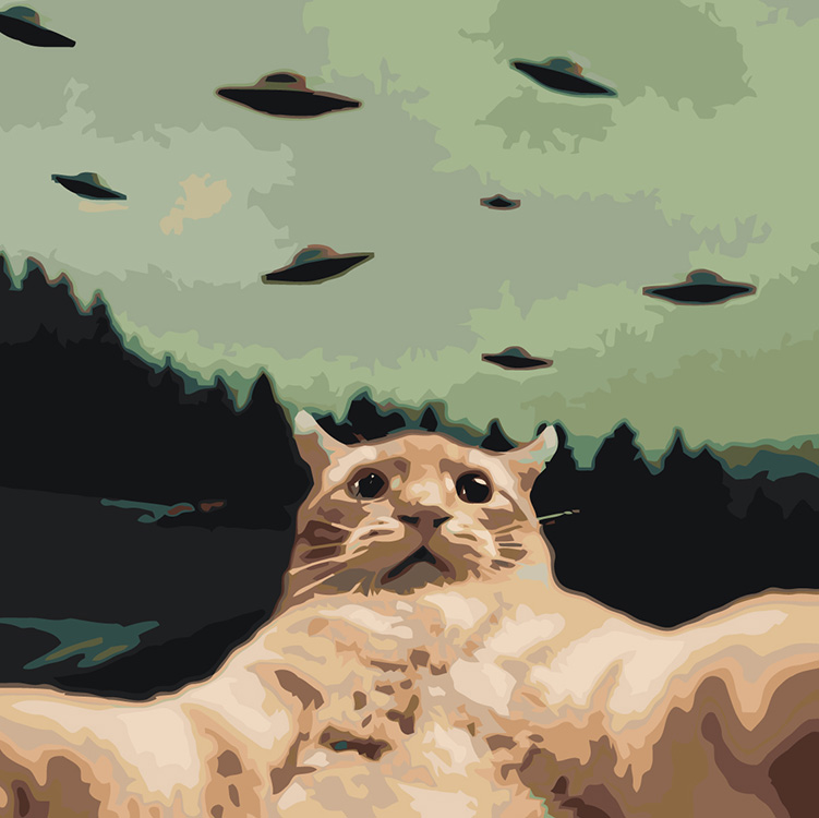 

Картина по номерам Цветное Мем: кот делает селфи, НЛО 40x40